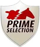 Logo Prime Selection
